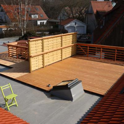 Dachterrasse2